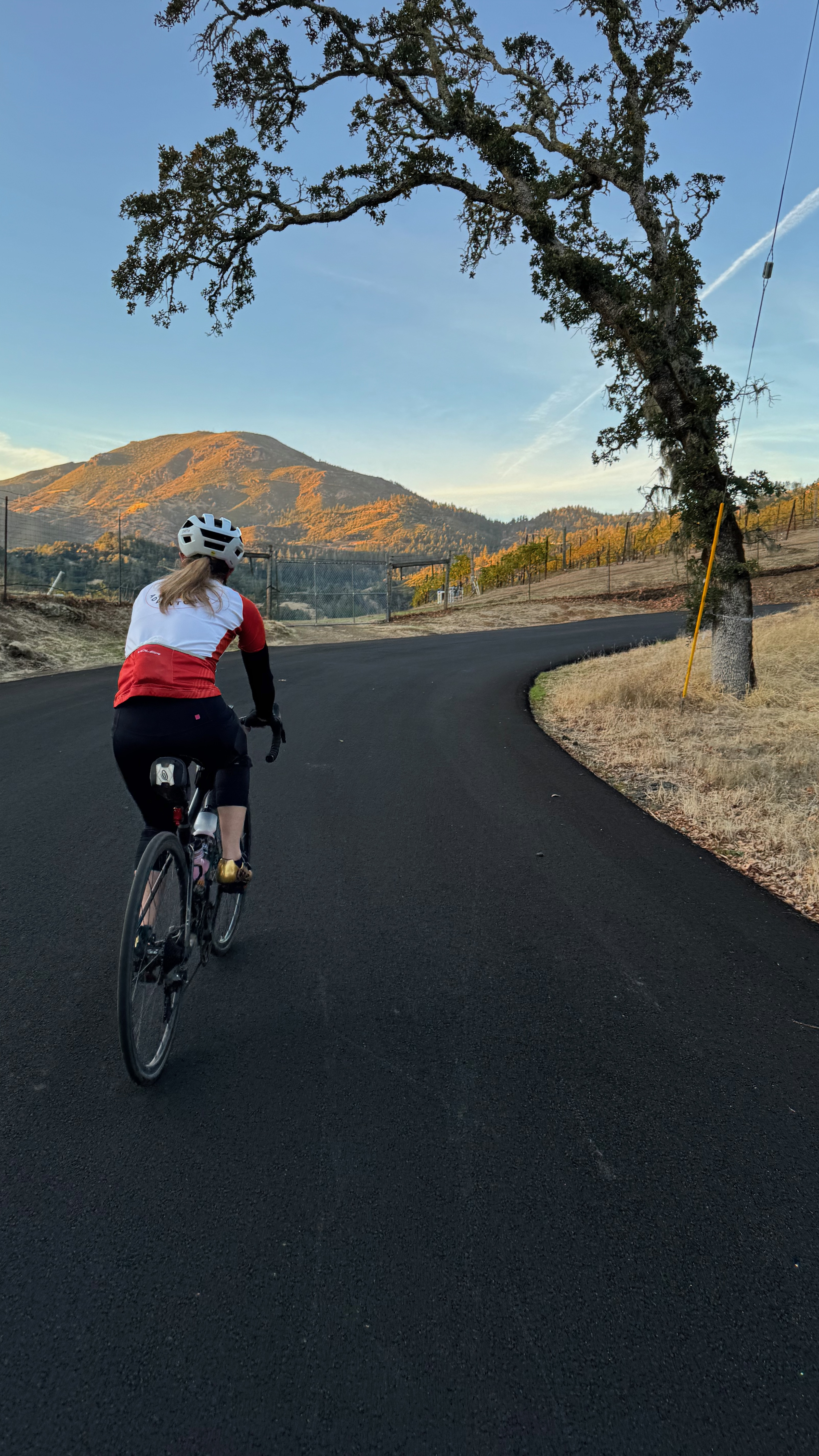 Cyclist climbing one of the backroads in Calistoga with views of Mount Saint Helena